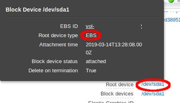 EC2 EBS Device