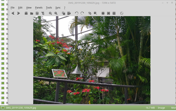 Linux Mint 18.3 viewing image / photo with Nomacs