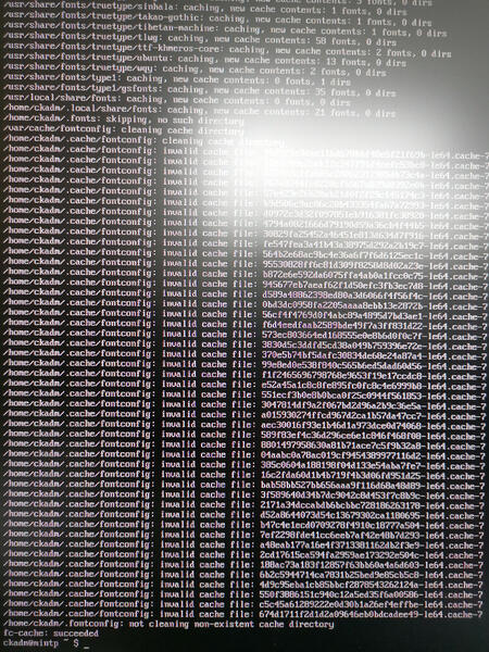 invalid files in Linux font cache