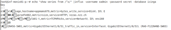 InfluxDB corrupt series starting with alphabetic character