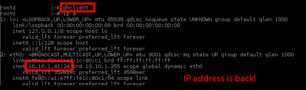 EC2 instance ip address back after running dhclient