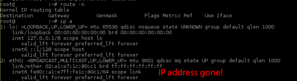EC2 instance ip address lost