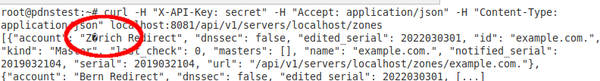 Malformed character in PowerDNS API Json response