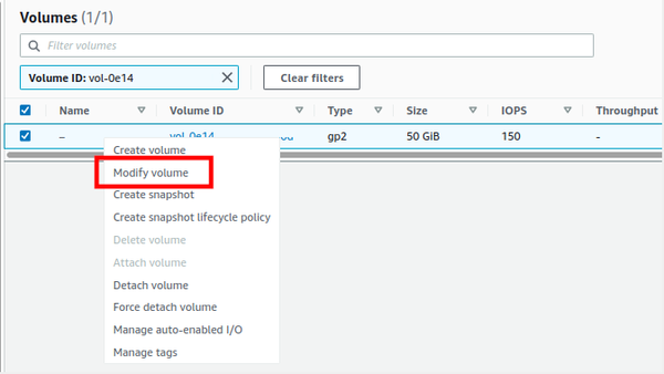 EBS Storage Volumes