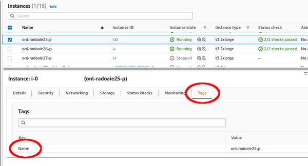 EC2 instance labelled with a name tag