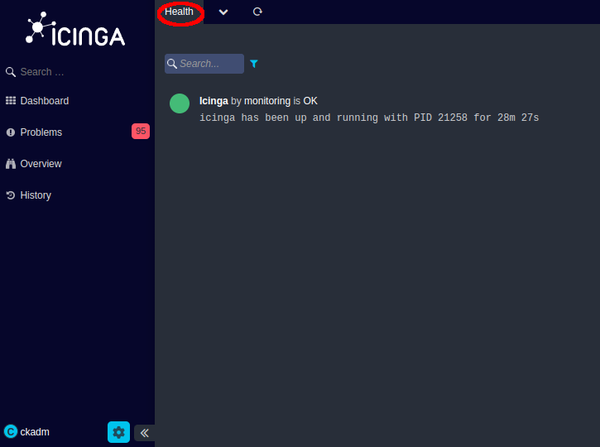Icingaweb 2.11 System Health