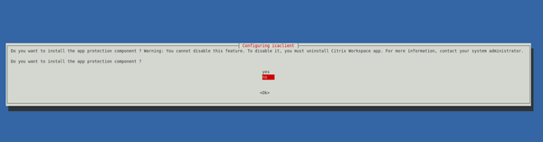 Citrix Workspace app installation asks for app protection component