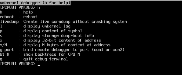 ESXi 8 local debugger