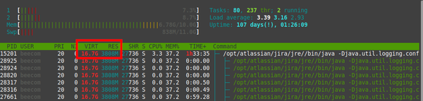 htop showing virtual and resident memory of process