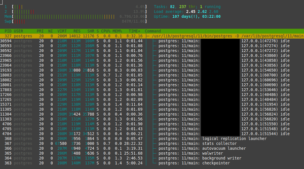 htop postgresql processes