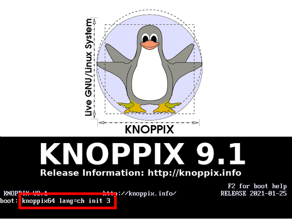 Knoppix using boot parameter to run 64bit mode (knoppix64)