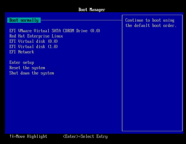 EFI Boot Manager in VMware VM