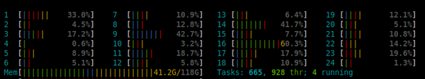 htop shows 24 cpus