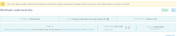 NodeLocal DNSCache workload in Rancher UI