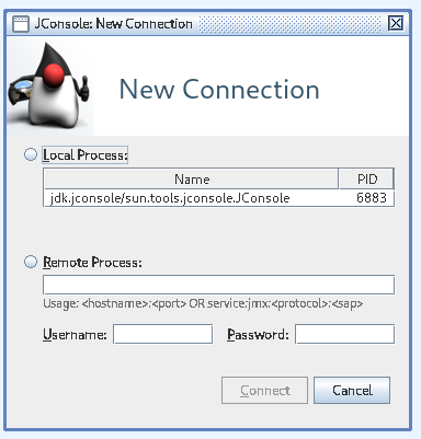 JConsole only shows local process from own user