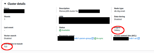 Valkey MemoryDB instance on AWS requires TLS connection