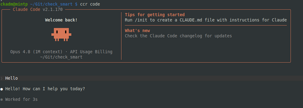 Claude Code in the Linux Terminal