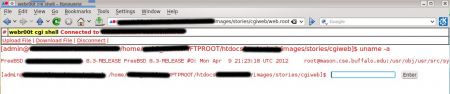 webr00t cgi shell commands