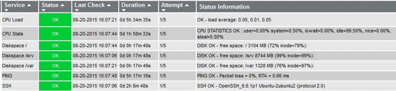 Icinga 2 Custom Attributes used for partition checks