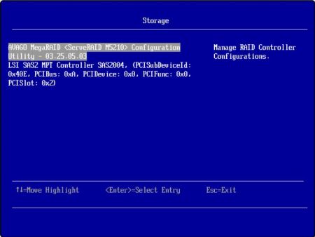 Two different storage controllers in the same server