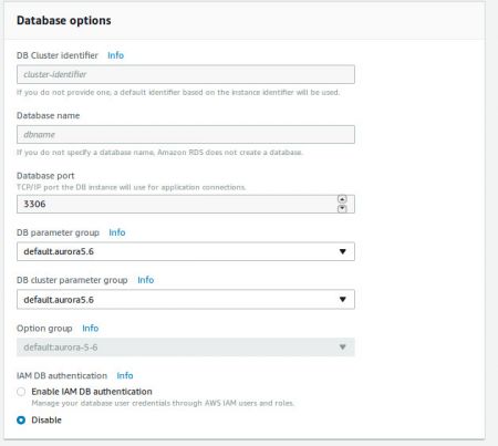 RDS Aurora DB Options