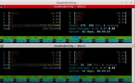 LXC 1 Memory Usage