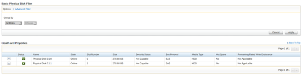 Physical drive status in Dell iDrac