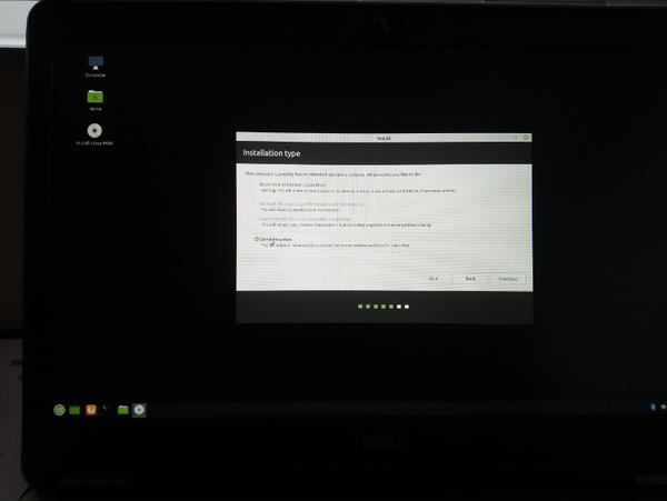Linux Mint 19.3 disk  installation type