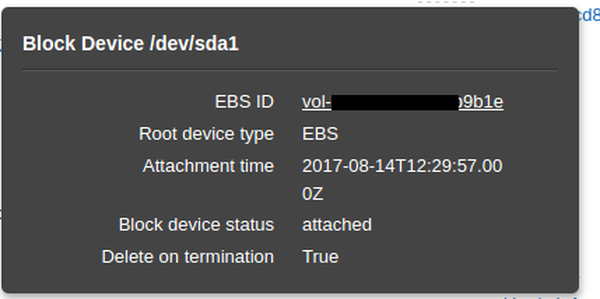 AWS EC2 Block Device EBS Volume ID