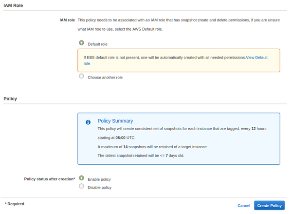 Data Lifecycle Manager Policy