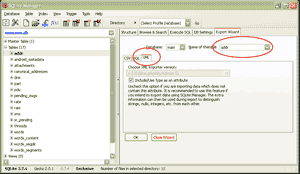 SQLite Manager Gingerbread mmssms.db